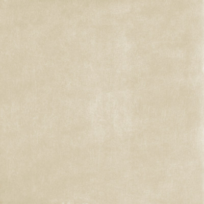 柔和面浅黄象纹